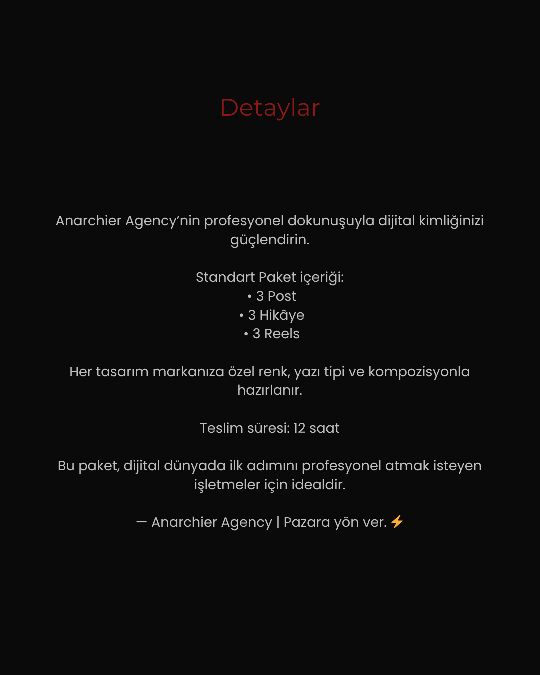 Standart Paket - Anarchier Agency