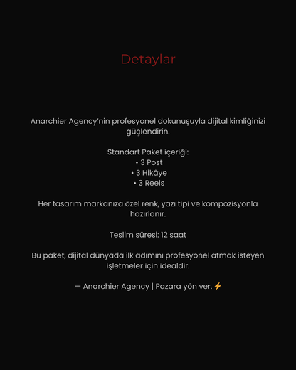 Standart Paket - Anarchier Agency
