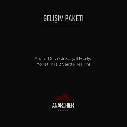 Gelişim Paketi - Anarchier Agency