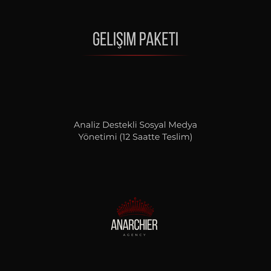 Gelişim Paketi - Anarchier Agency